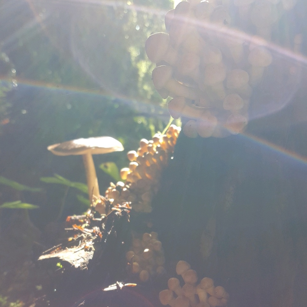 Meet your Posher, Erika